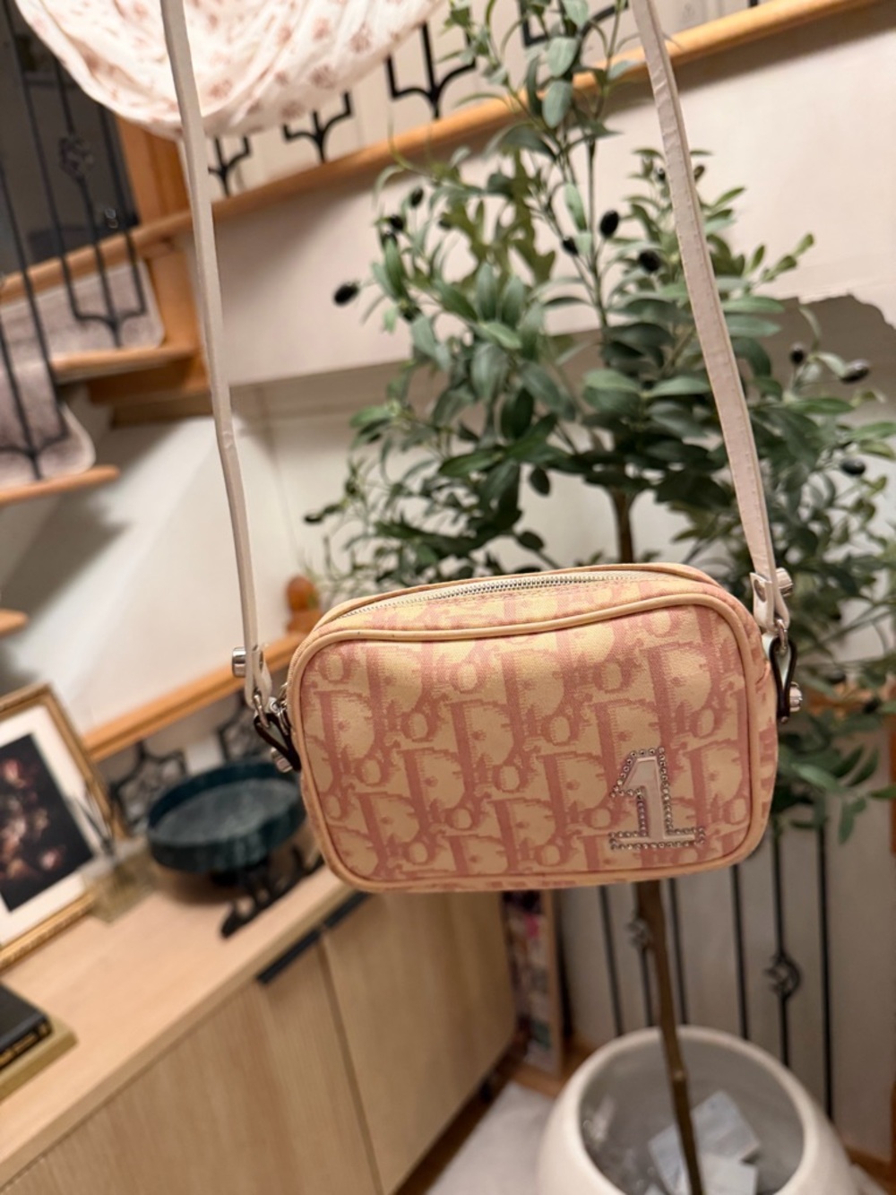 Dior Light Pink Monogram Canvas Crossbody with Rhinestone '1'